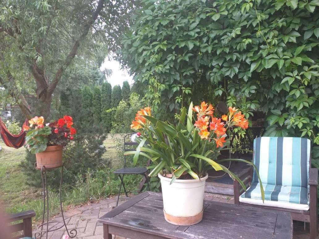 Guest House Pechersky & Sons Dreilini  Zewnętrze zdjęcie