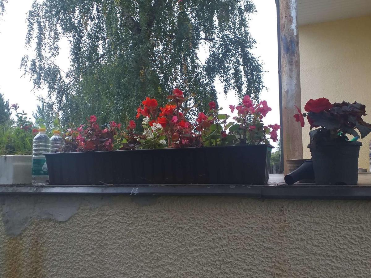 Guest House Pechersky & Sons Dreilini  Zewnętrze zdjęcie